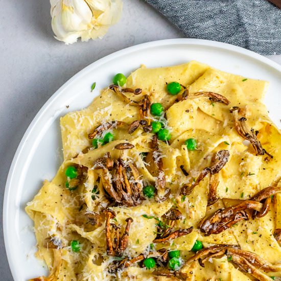 Mushroom Pappardelle Pasta