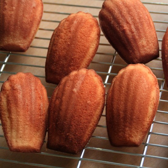 Coffee Flour Madeleines