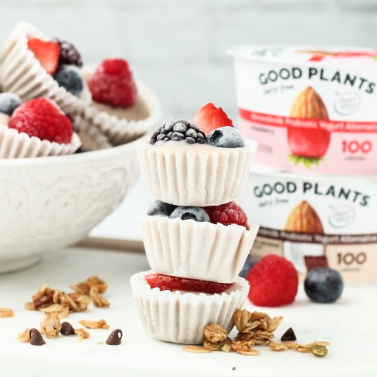 Vegan Fro-Yo Granola Bites