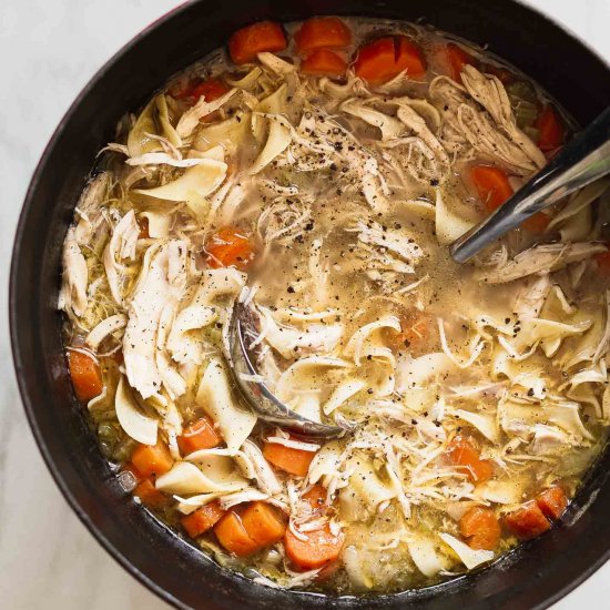 chicken noodle soup