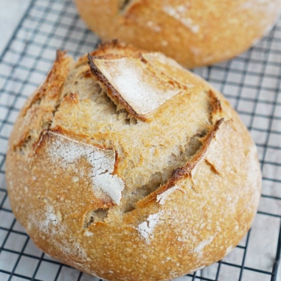 No Knead Sourdough Bread Recipe