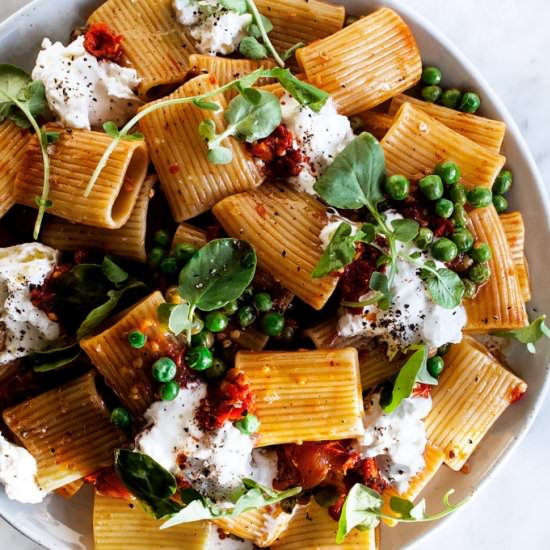 Calabrian Chile & Burrata Pasta