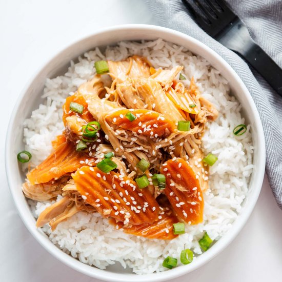 Instant Pot Teriyaki Chicken