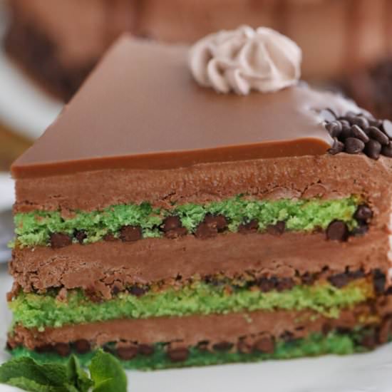 Best Mint Chocolate Chip Cake