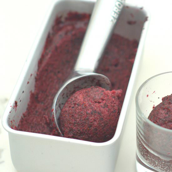 No Churn Blueberry Sorbet