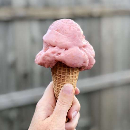 Rhubarb Ice Cream