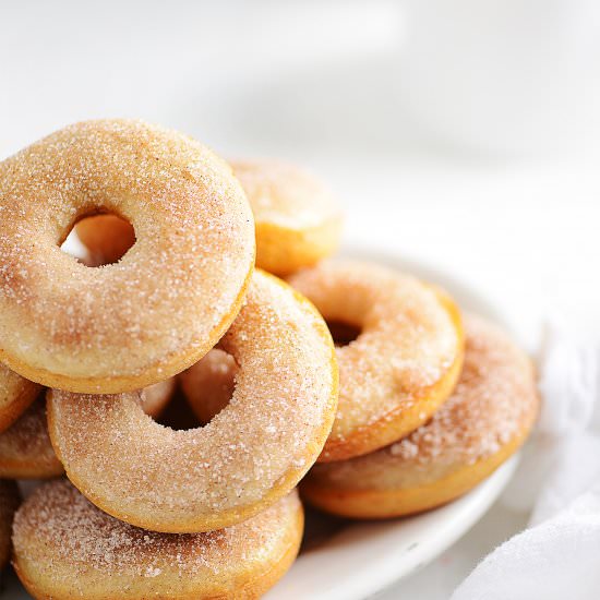 Baked Cinnamon Donuts