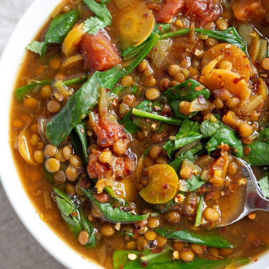 Everyday Lentil Soup