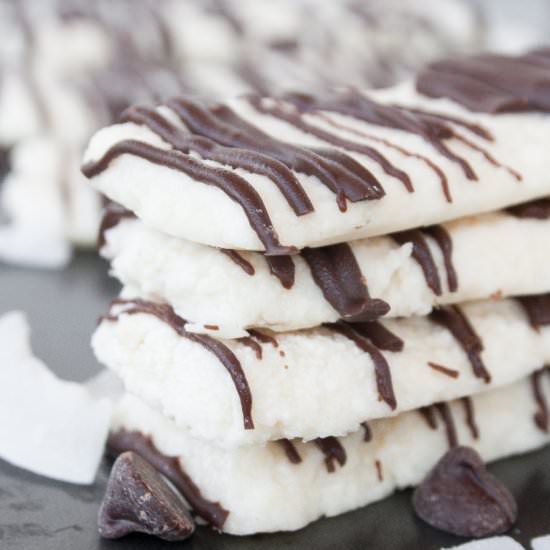 Chocolate Coconut Protein Bars