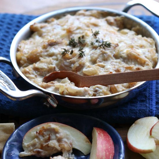 Hot Caramelized Onion Kalua Pig Dip