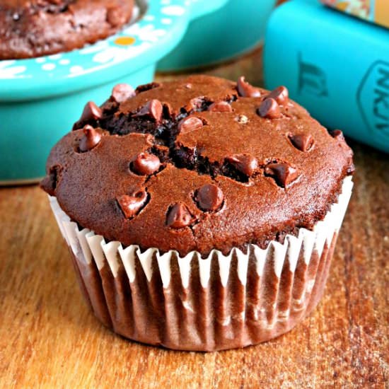 Double Chocolate Muffins