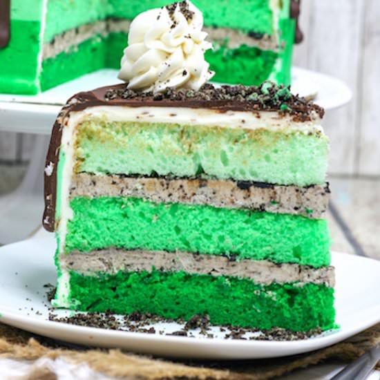 Green Ombre Mint Chocolate Cake