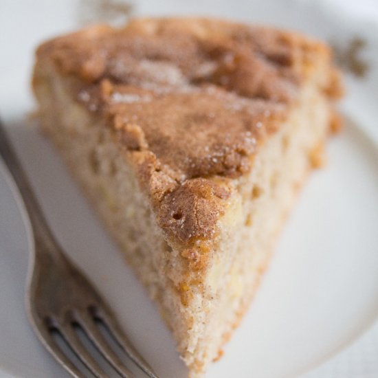 Easy French Apple Cake – Low Fat