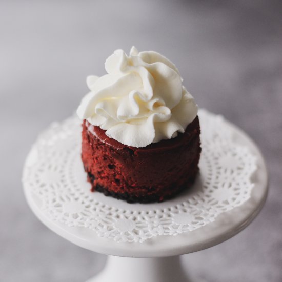 Mini Red Velvet Cheesecakes