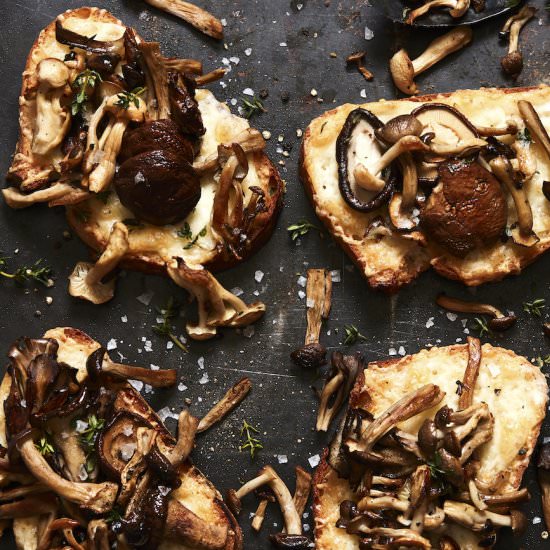 Mushroom and Fontina Tartines