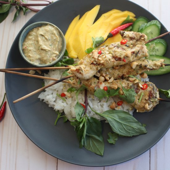 Chicken Satay w/ Spicy Peanut Sauce