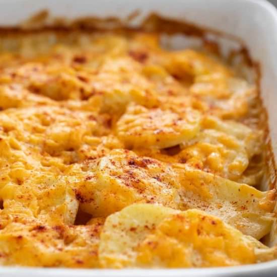 Scalloped Potatoes