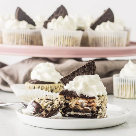 Mini Oreo Cheesecakes