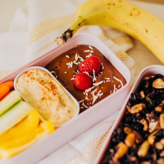 Airplane Friendly Vegan Bento Box