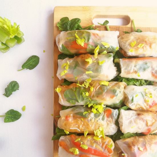 Chicken and Vegetable Spring Rolls