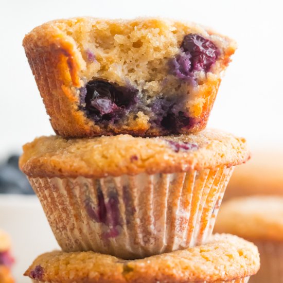 Paleo Blueberry Muffins