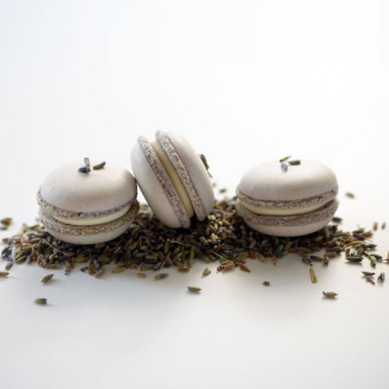 Lavender honey macarons