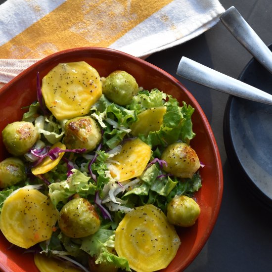 Sprouts and Beet Salad