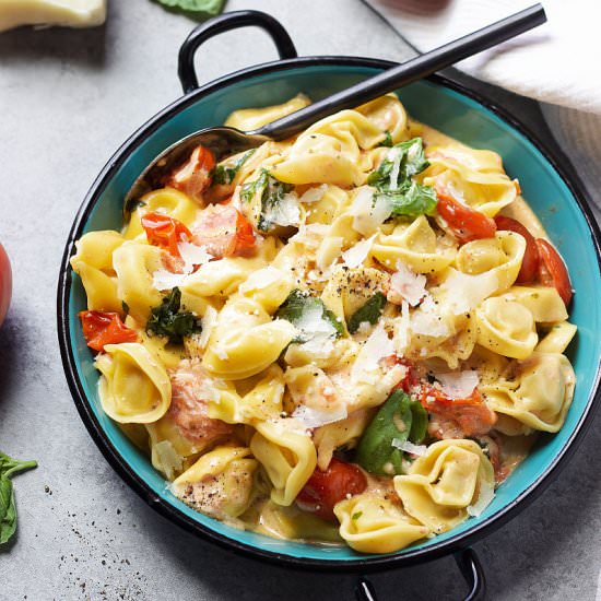 Tomato Basil Creamy Tortellini