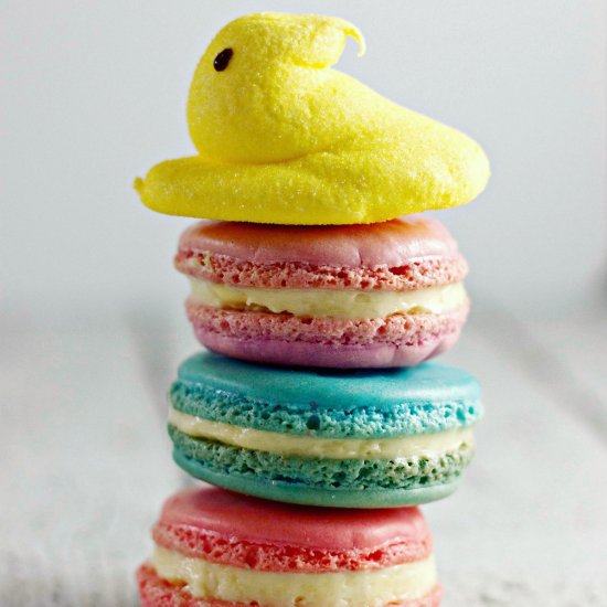 Marshmallow Buttercream Macarons