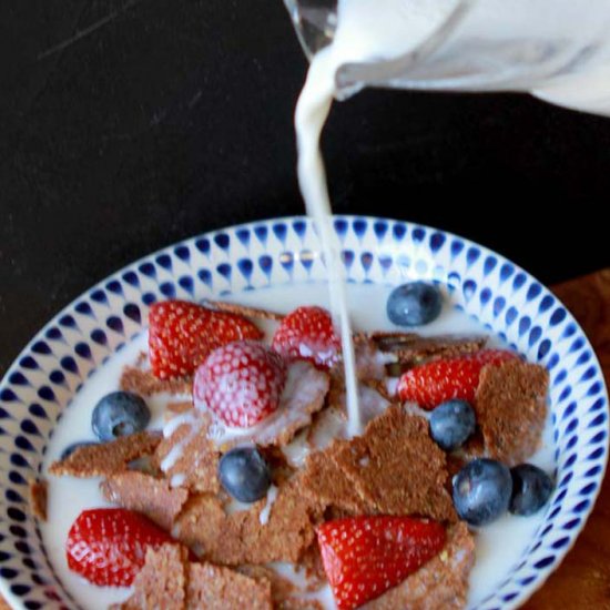 Low Carb Bran Flakes Cereal