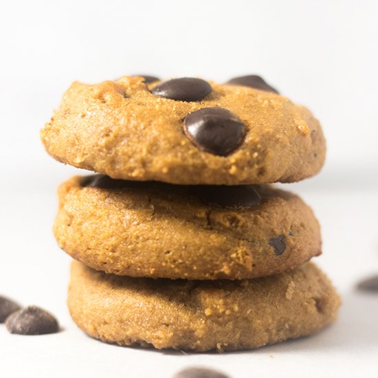 Coconut Flour Chocolate Chip Cookie