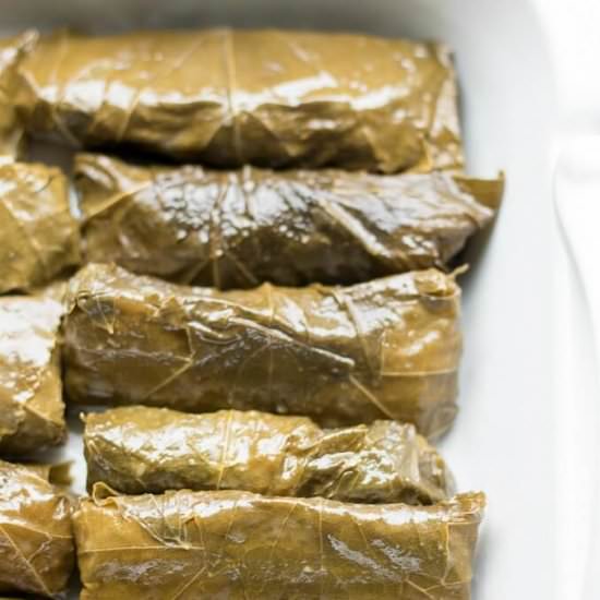 Stuffed Grape Leaves