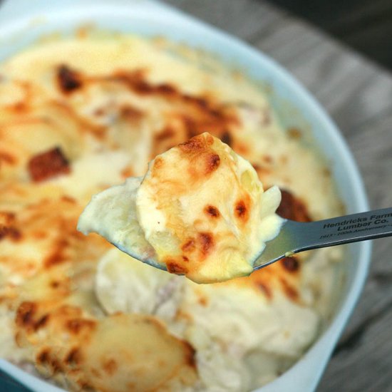 Extra Creamy Scalloped Potatoes