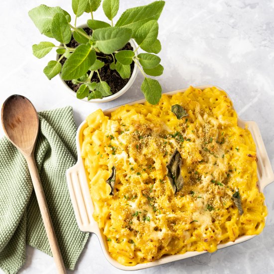 Butternut Squash Mac and Cheese