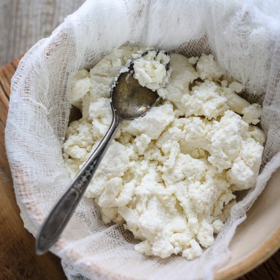 Homemade Ricotta Cheese Recipe