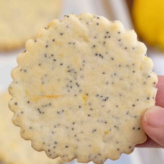 Lemon Poppy Seed Cookies