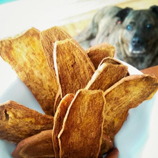 Healthy Sweet Potato Dog Treats