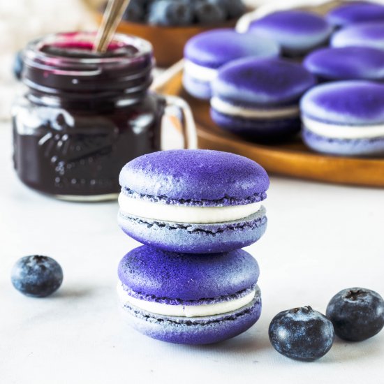 Blueberry Macarons