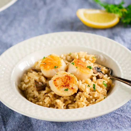 Scallops with mushroom risotto