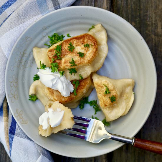 Potato And Cheddar Perogies