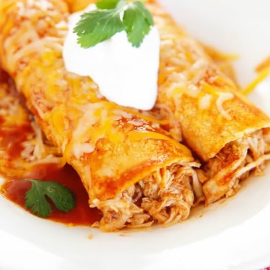 Chicken Enchilada Recipe