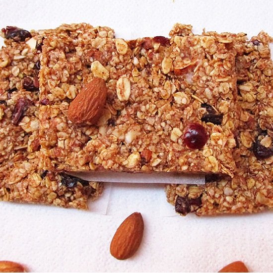 No-Bake Oat Granola Bars