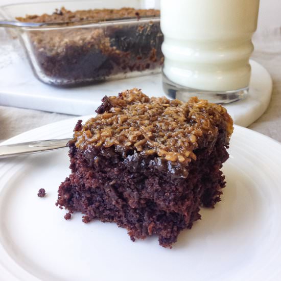 Vegan Chocolate Oatmeal Cake