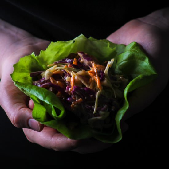 15 Min BBQ Jackfruit Lettuce Wraps