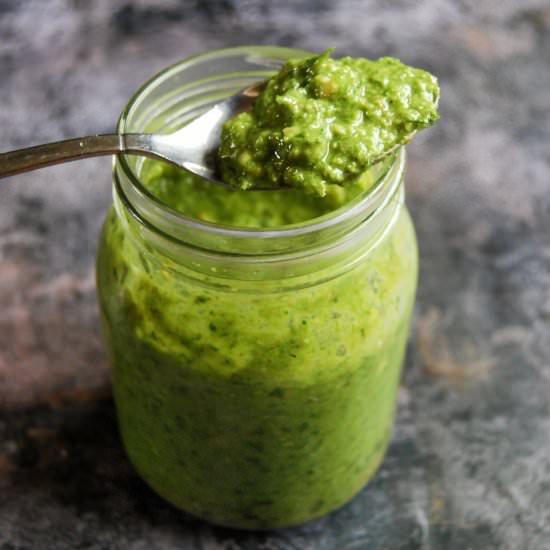 Wild Garlic Pesto