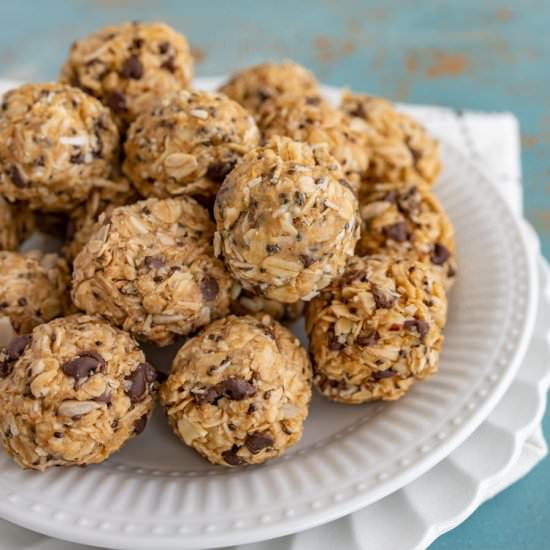 Extra Protein Oatmeal Bites