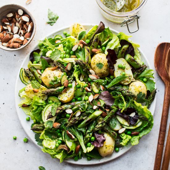 Green spring salad (V,GF)