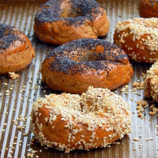 Gluten Free Sourdough Bagels