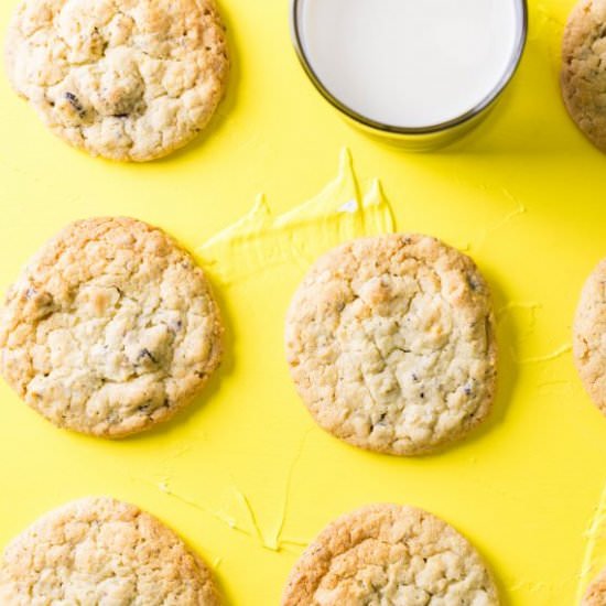 Blueberry Oatmeal Cookies