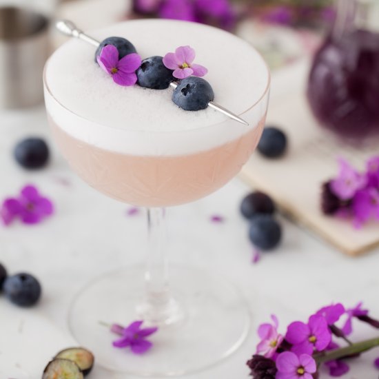 Violet Blueberry Gin Sour